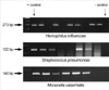 jkms-19-735-g002