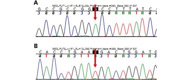 jkms-34-e258-abf001