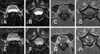 jvs-16-543-g001
