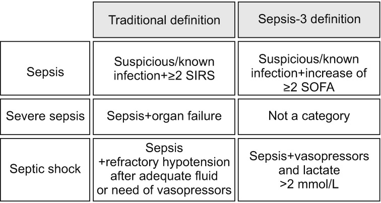 Sepsis meaning