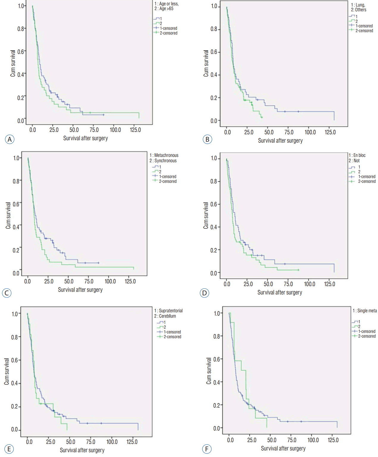 jkns-60-6-667f4.gif