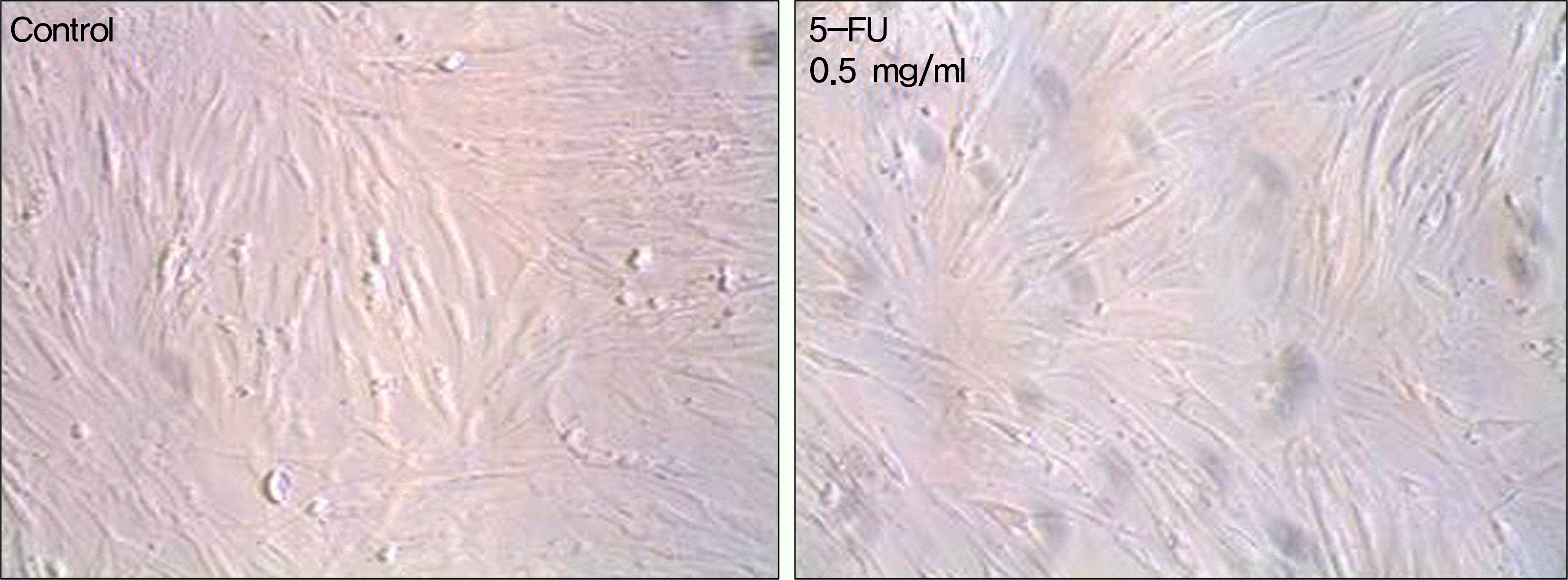 jkos-52-233f2.tif