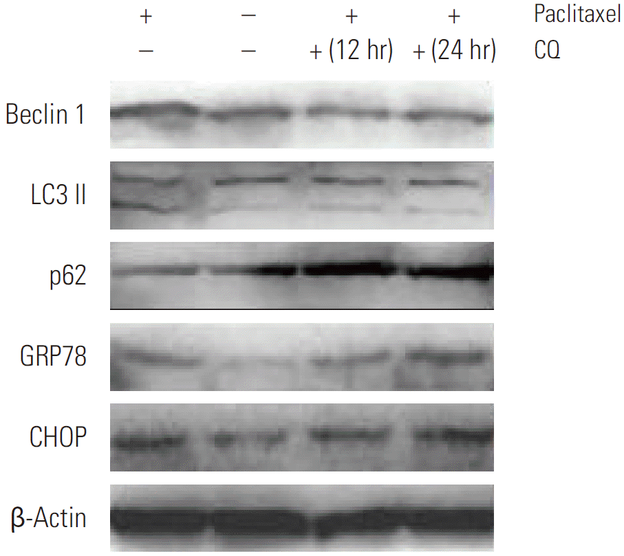 crt-2013-222f4.tif