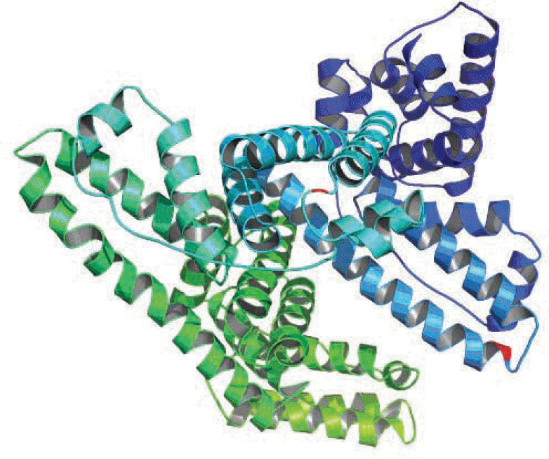 kjlm-30-307f3.tif