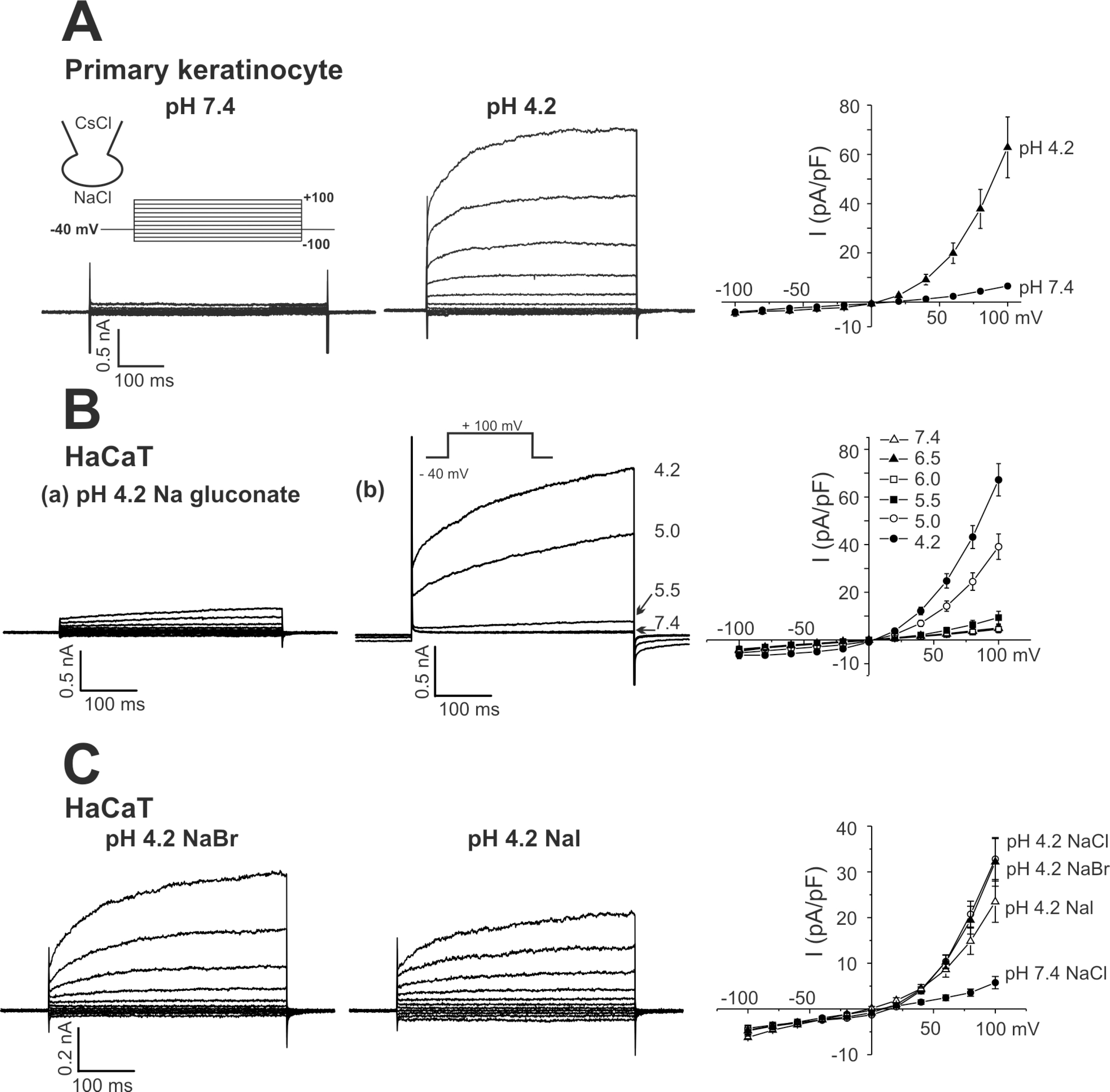 kjpp-12-177f1.tif