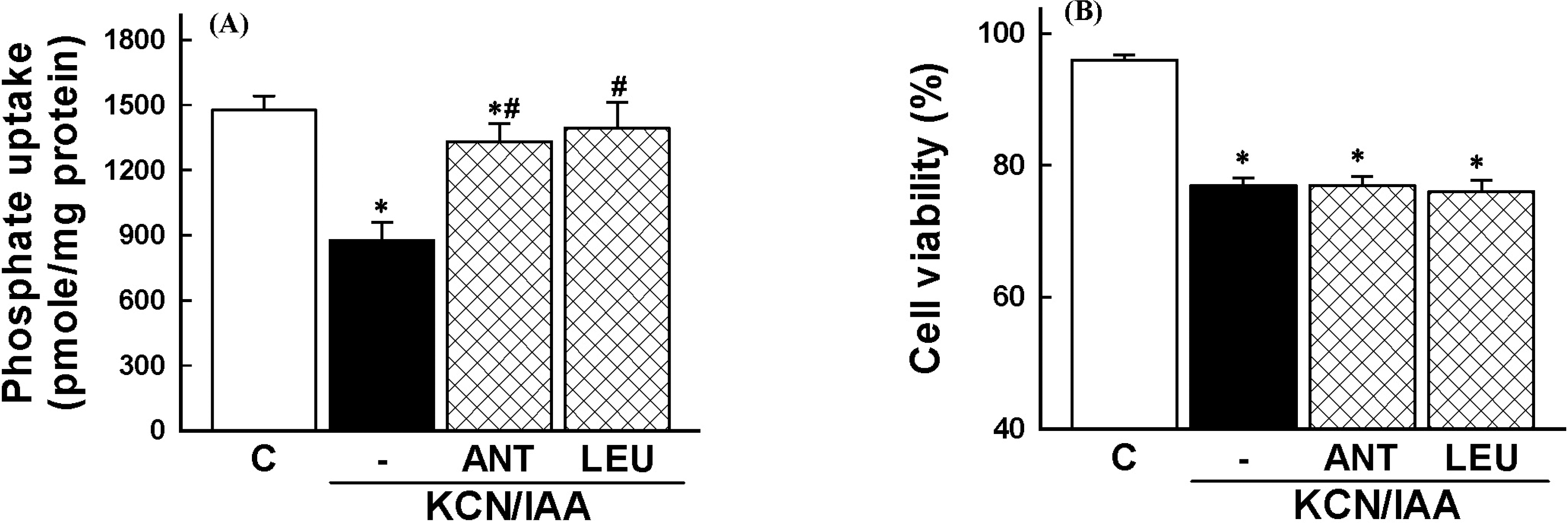 kjpp-13-15f6.tif