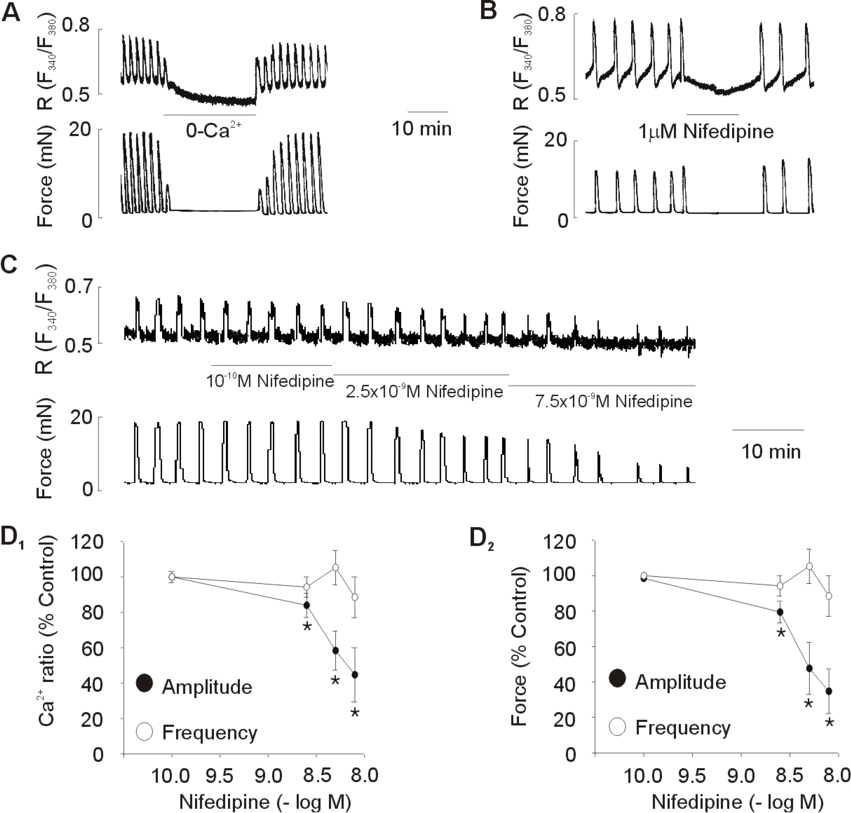 kjpp-13-241f1.tif