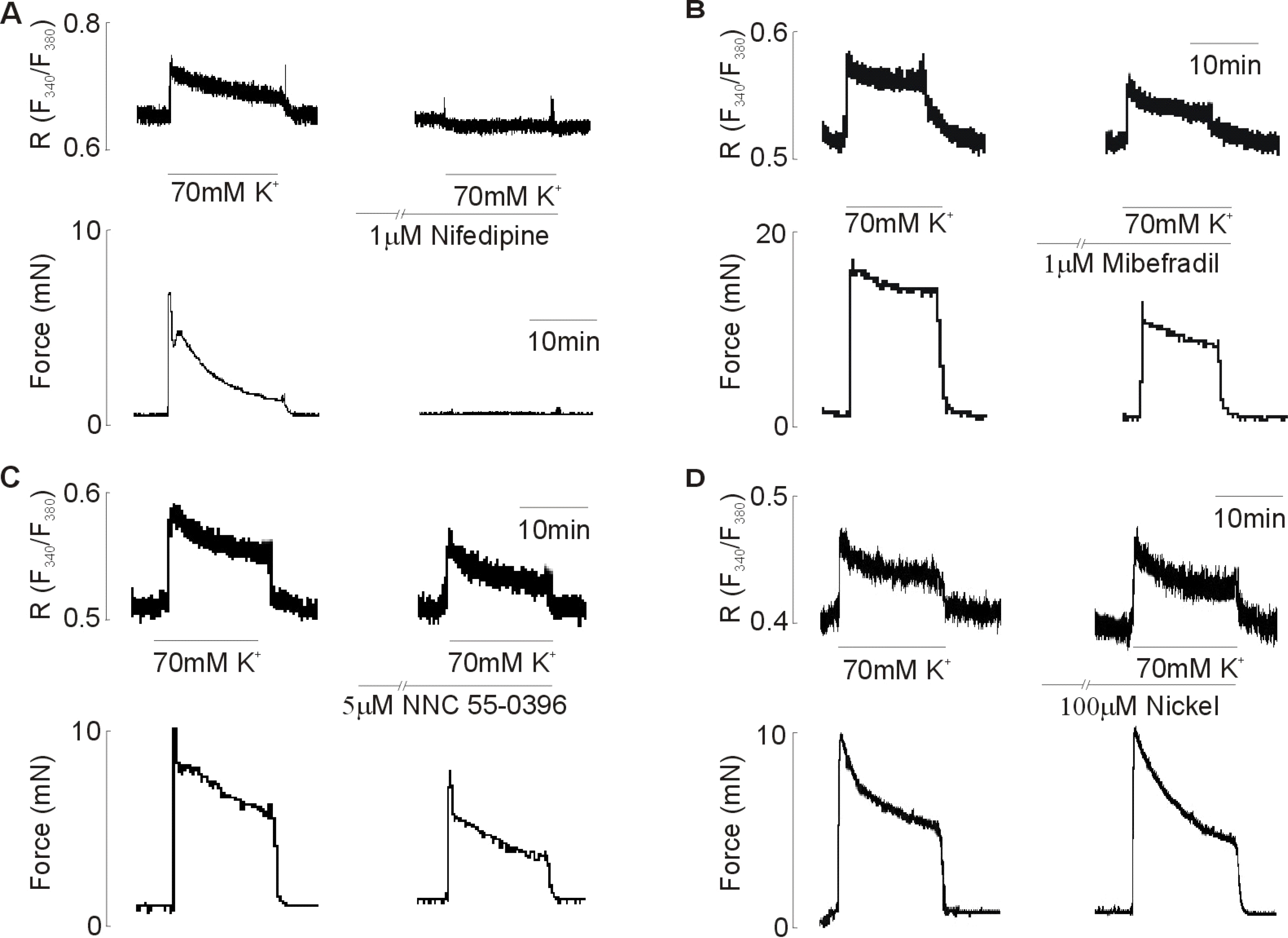 kjpp-13-241f6.tif