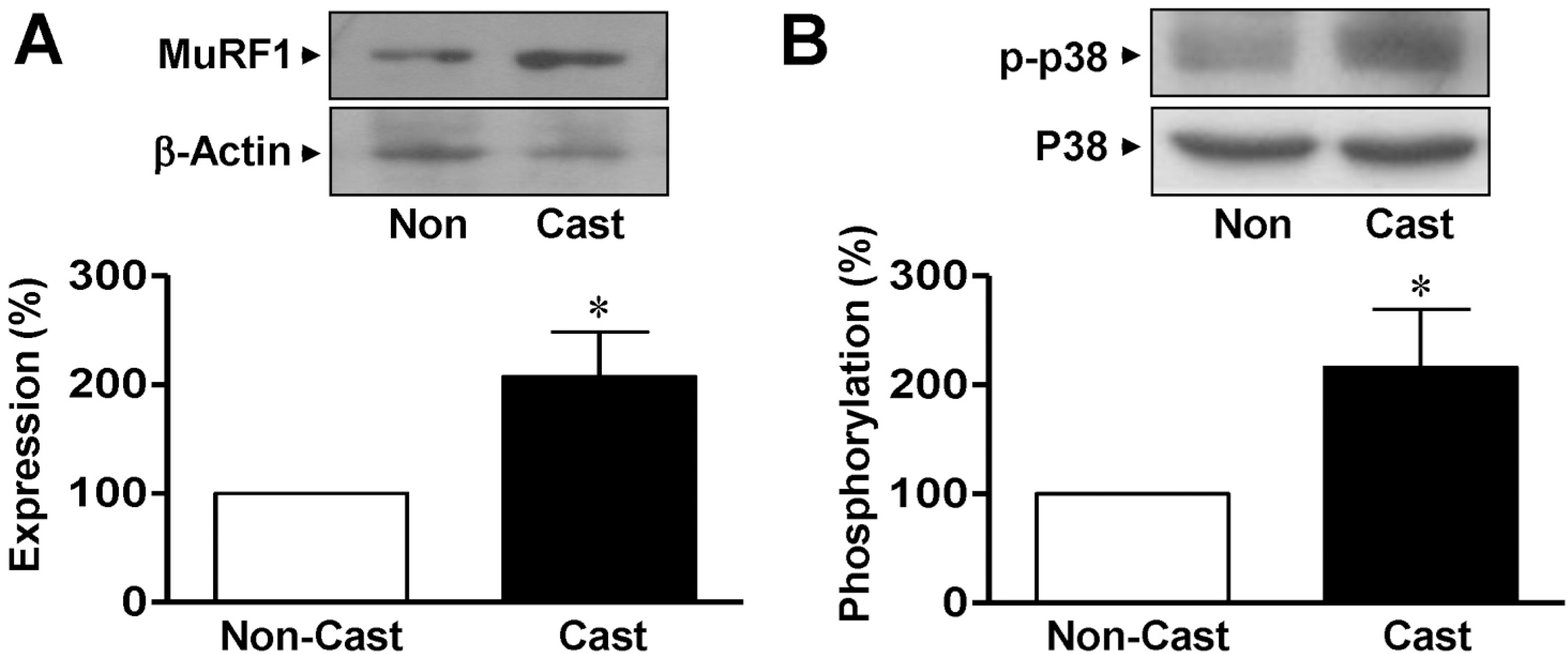 kjpp-13-491f2.tif