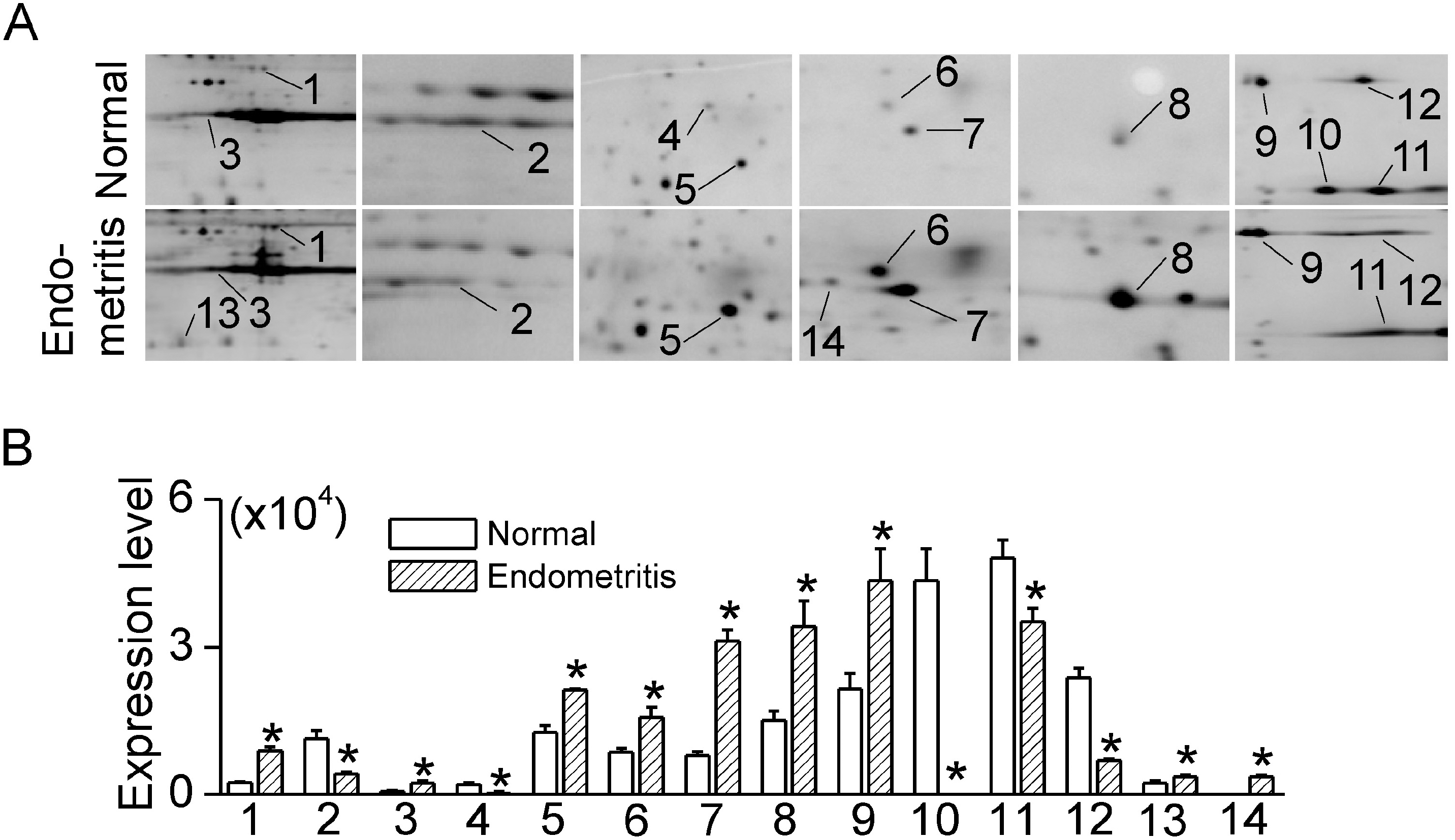 kjpp-14-205f2.tif