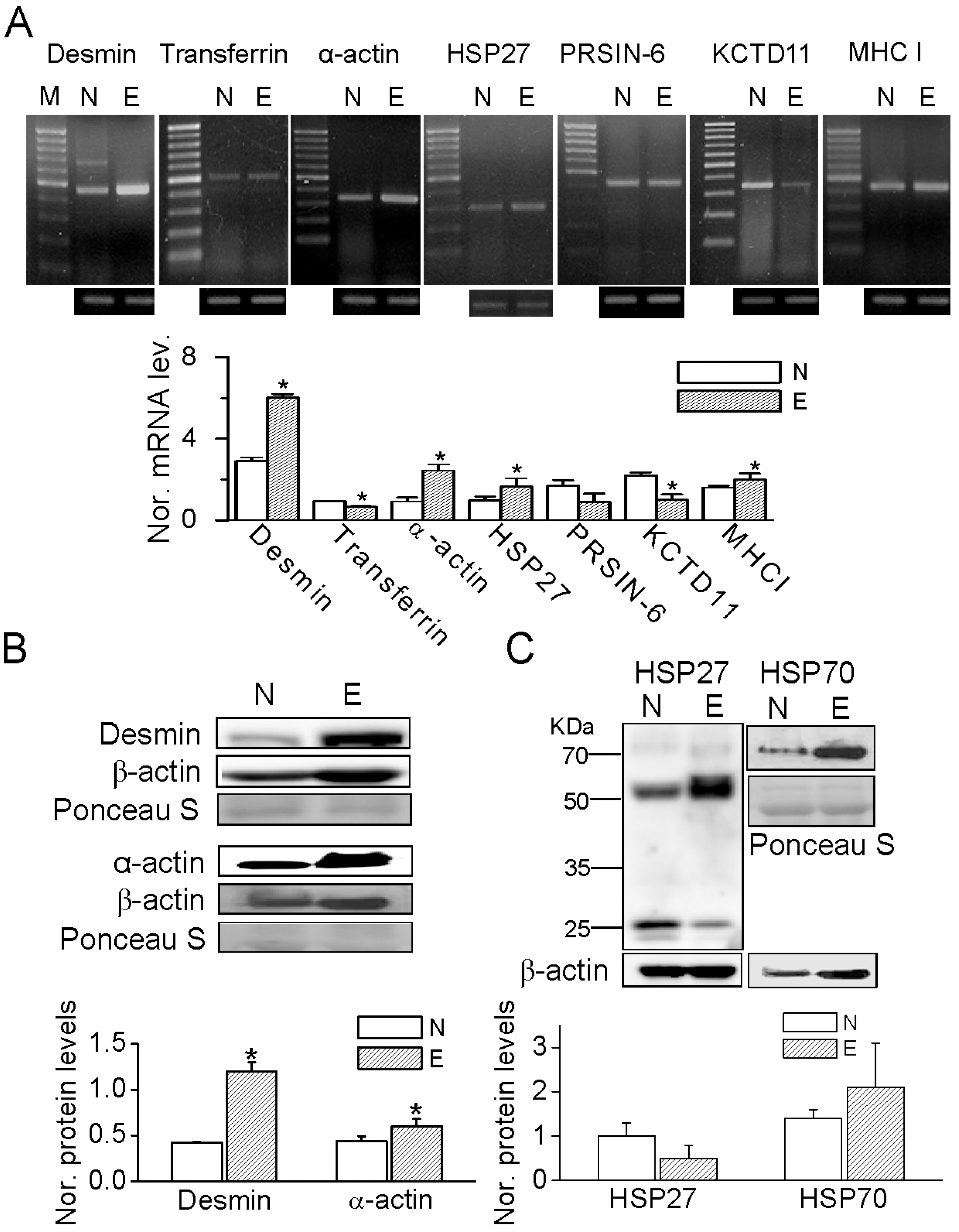 kjpp-14-205f3.tif