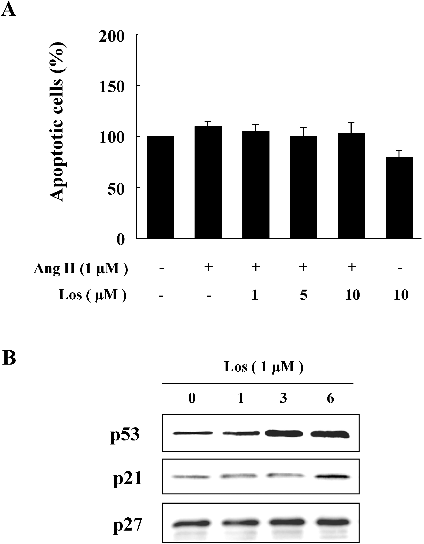 kjpp-14-299f3.tif