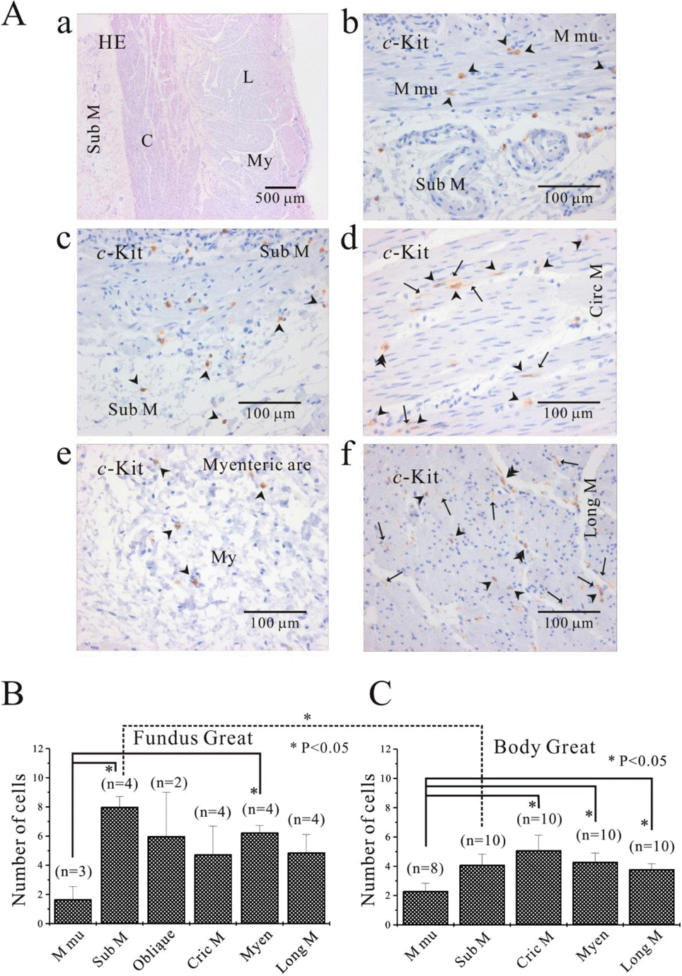 kjpp-14-317f5.tif