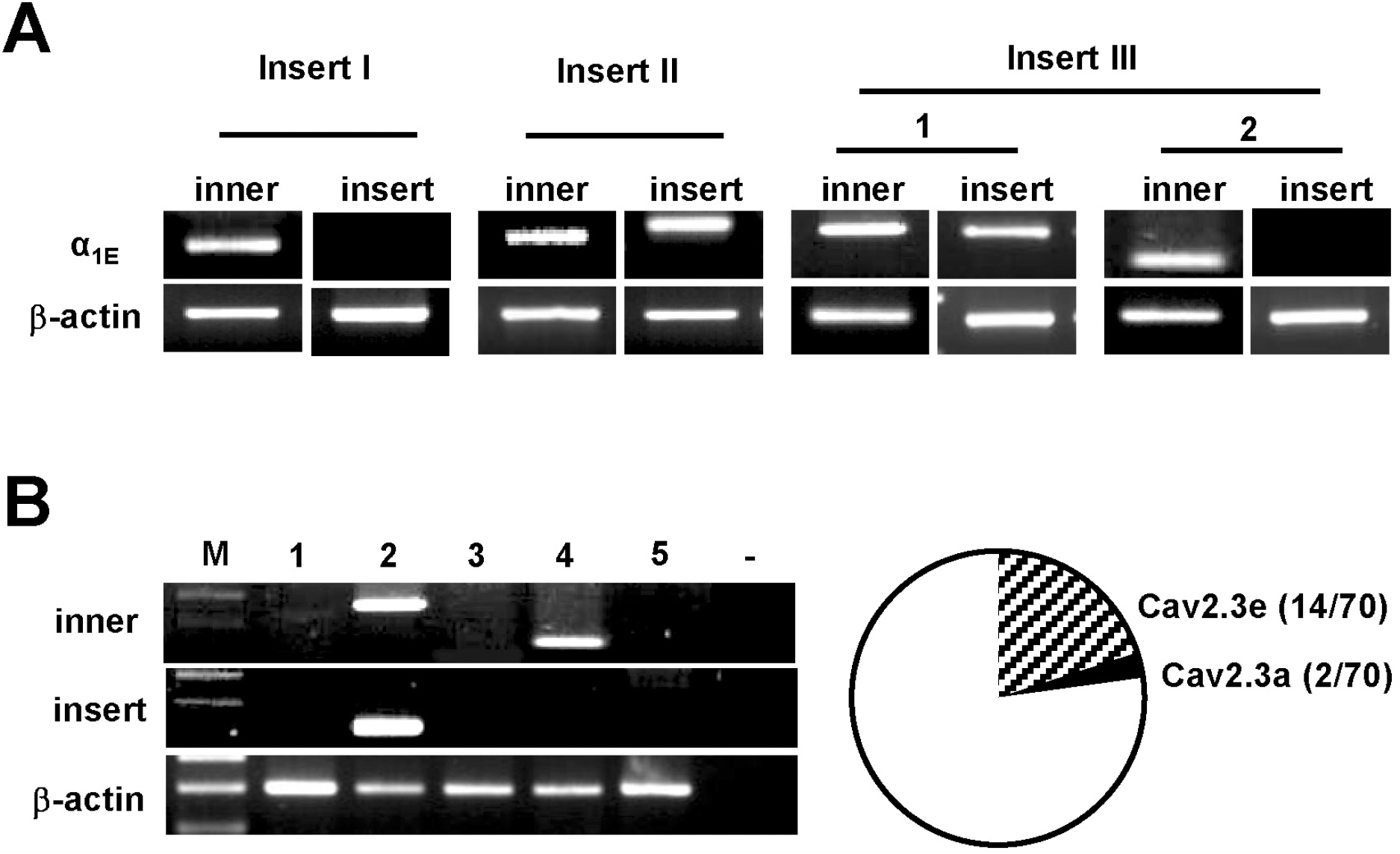 kjpp-14-45f2.tif