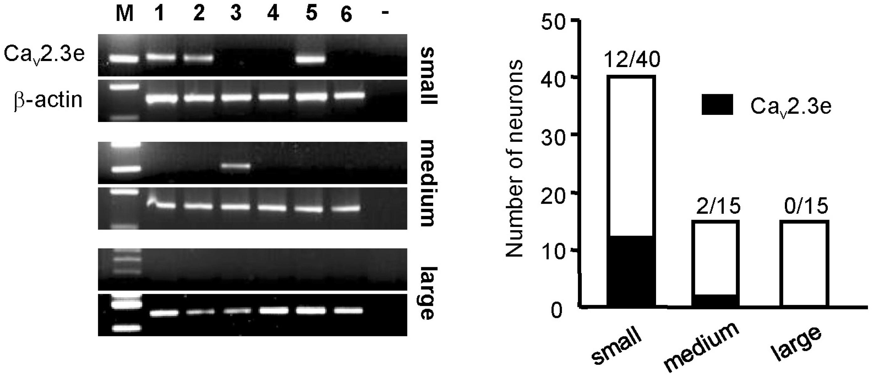 kjpp-14-45f3.tif