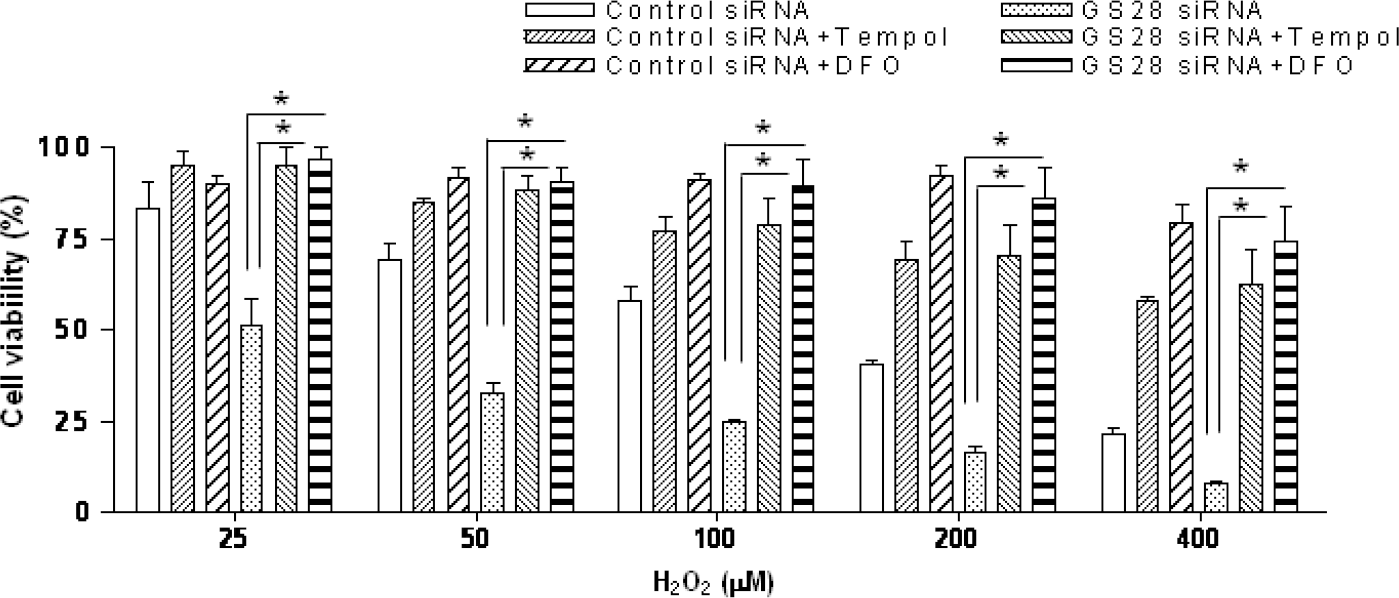 kjpp-15-149f2.tif