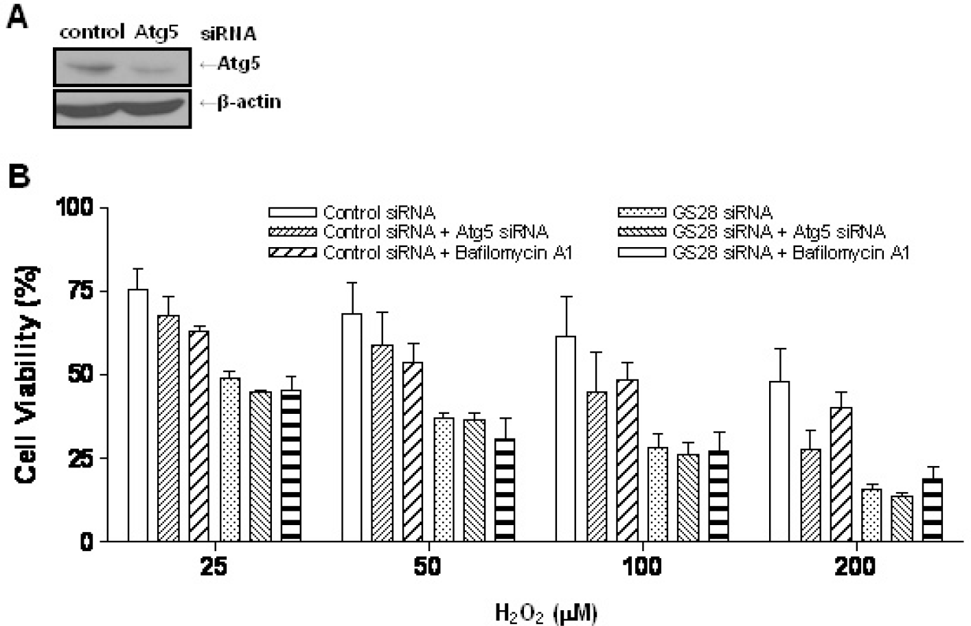 kjpp-15-149f6.tif