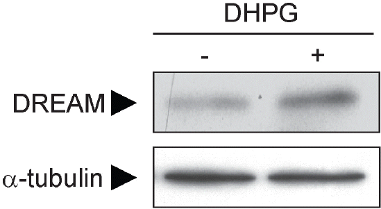 kjpp-15-95f4.tif