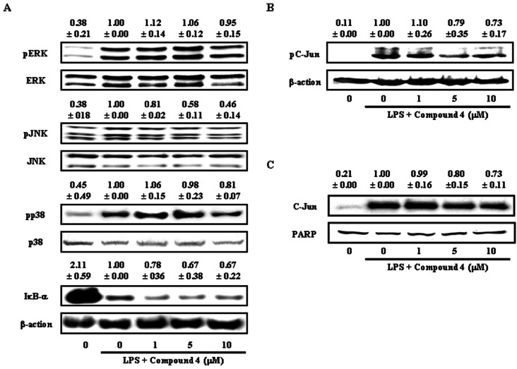 kjpp-17-217-g005