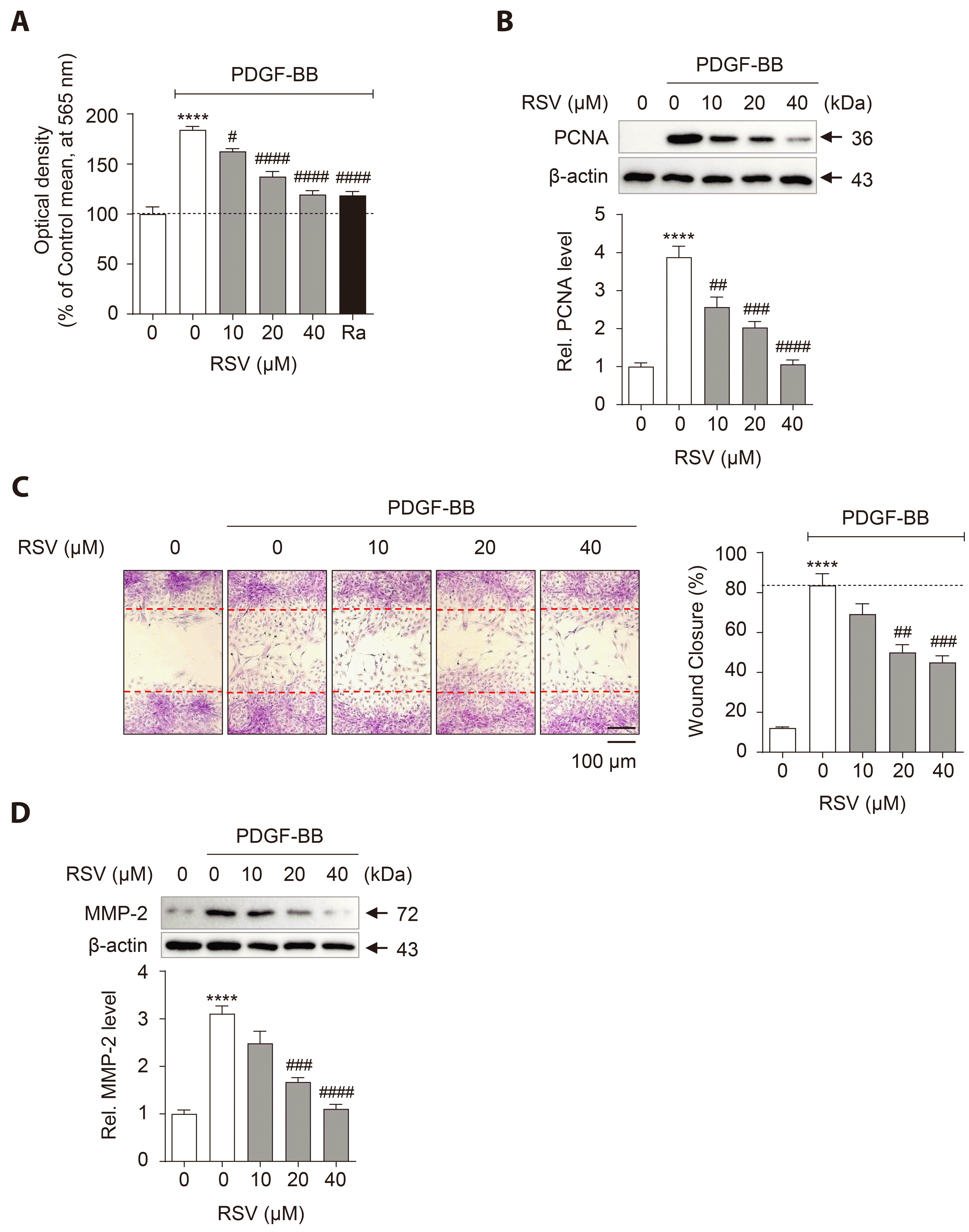 Koreamed Synapse