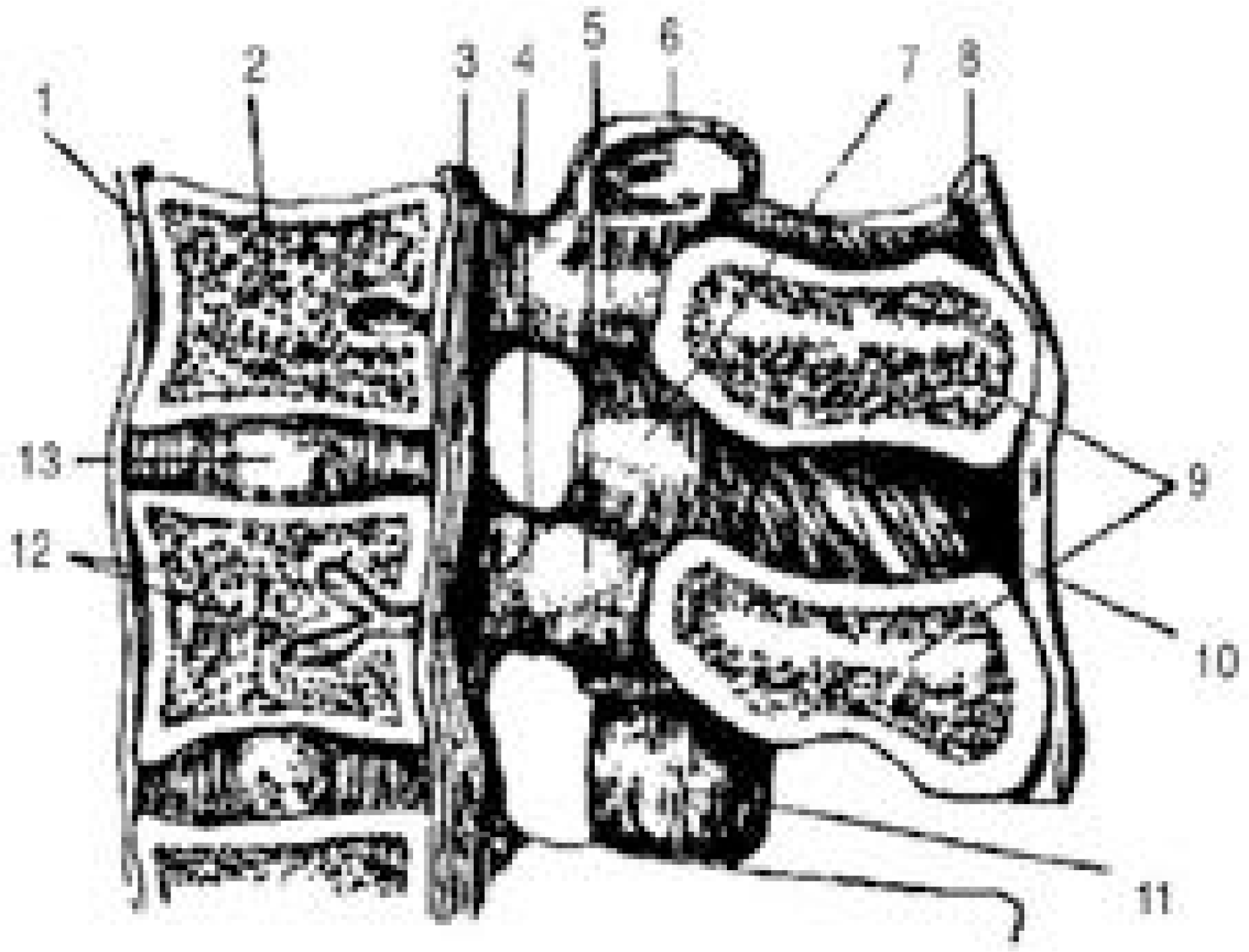 jkss-8-264f5.tif