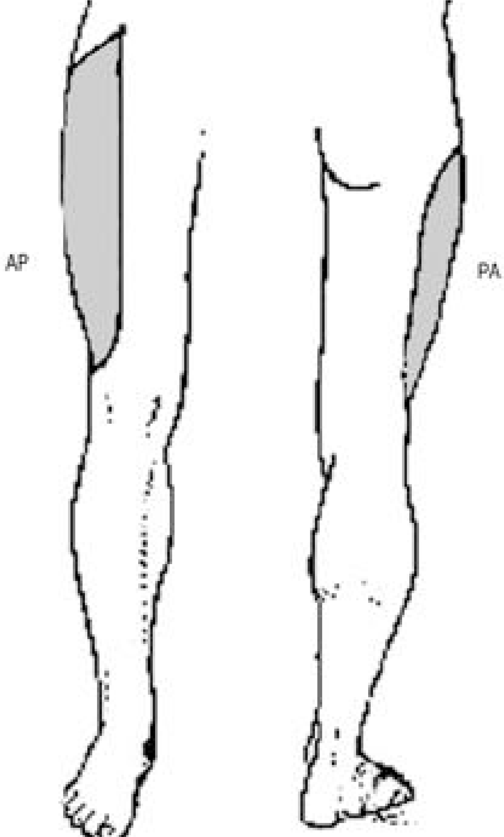 jkss-8-292f7.tif