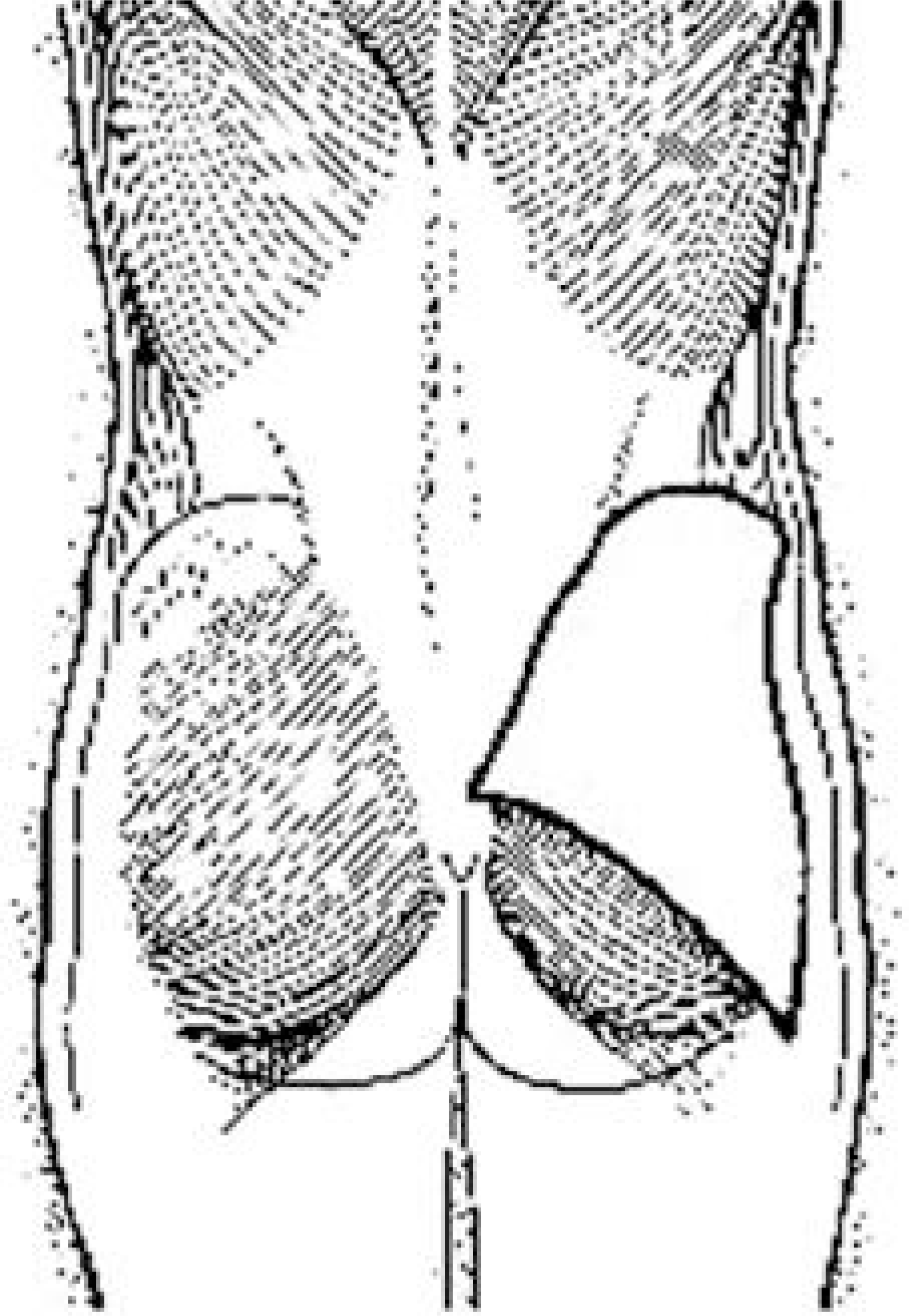 jkss-8-292f8.tif