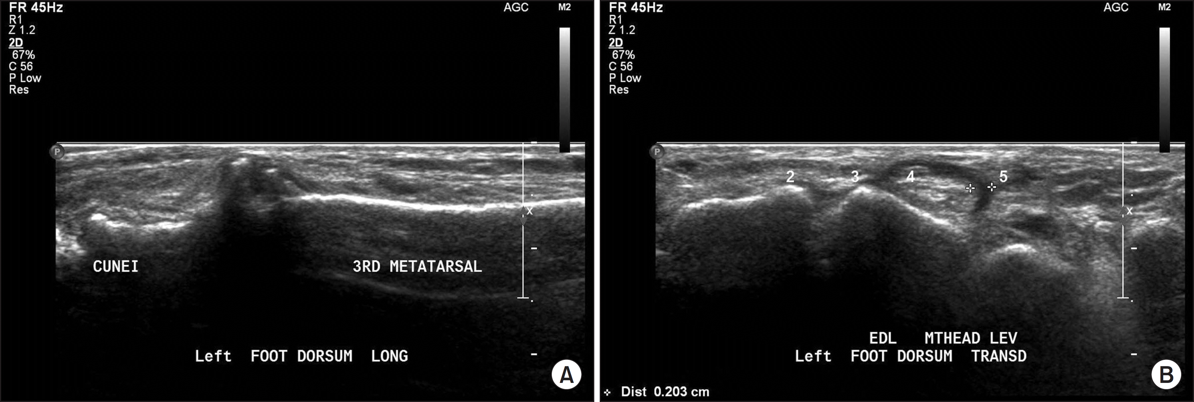 jkfas-20-46f3.tif