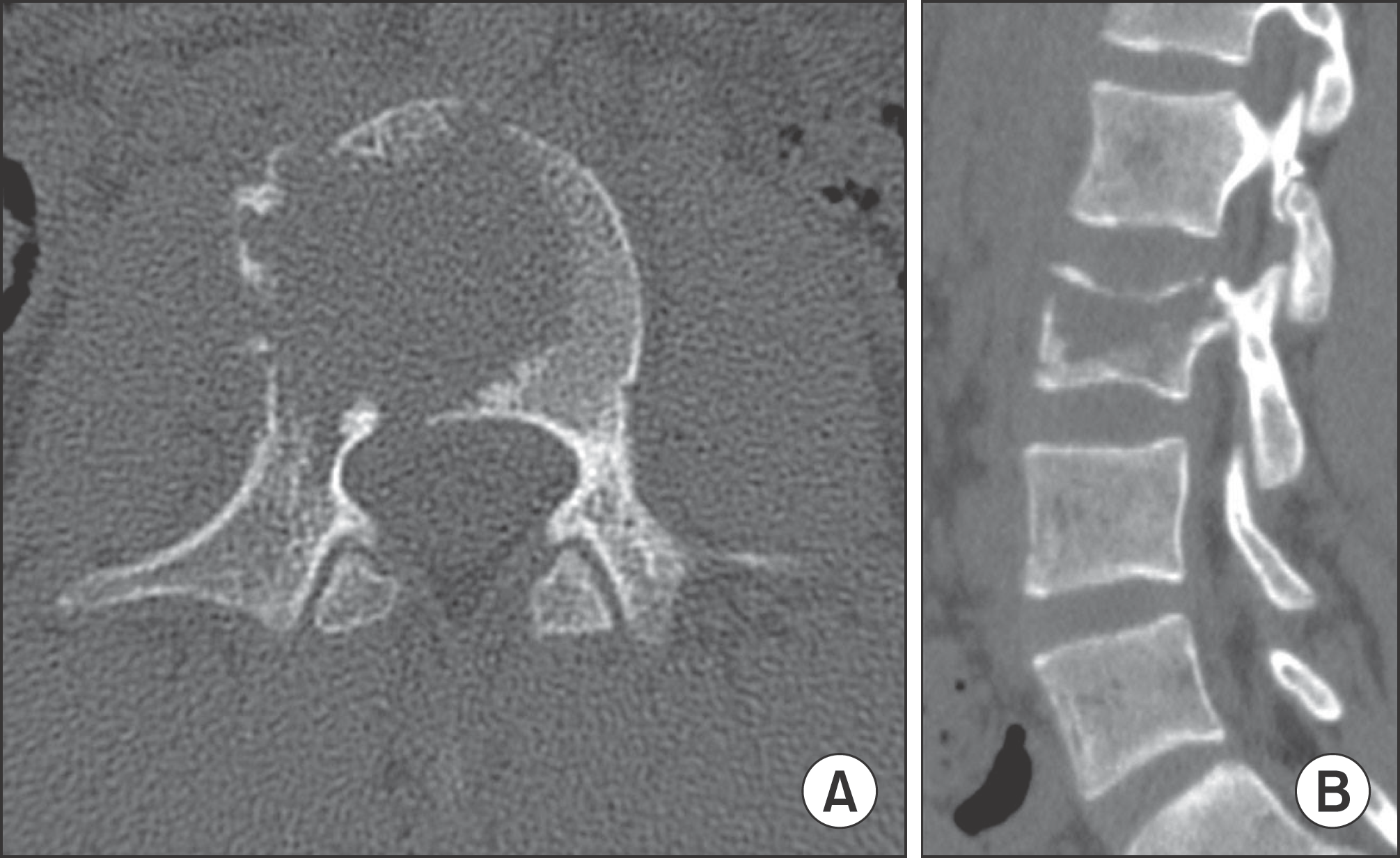 Koreamed Synapse