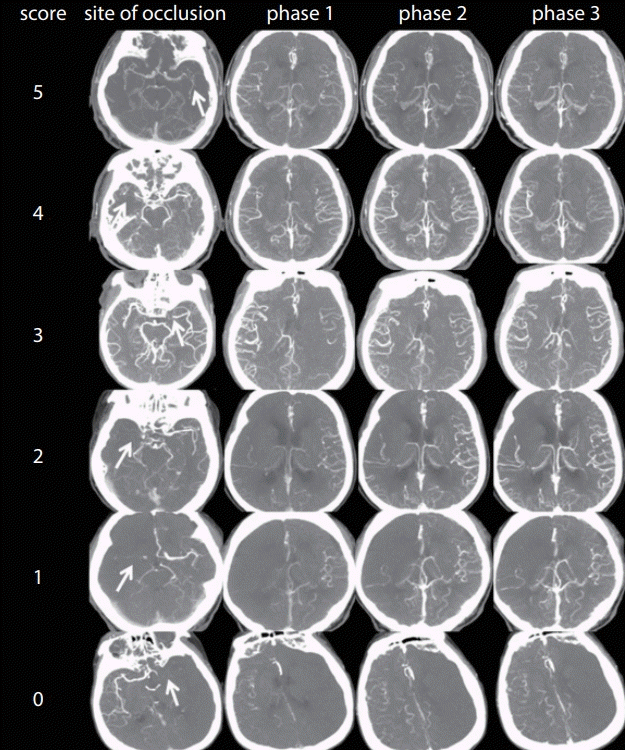 neuroint-2019-00080f1.tif