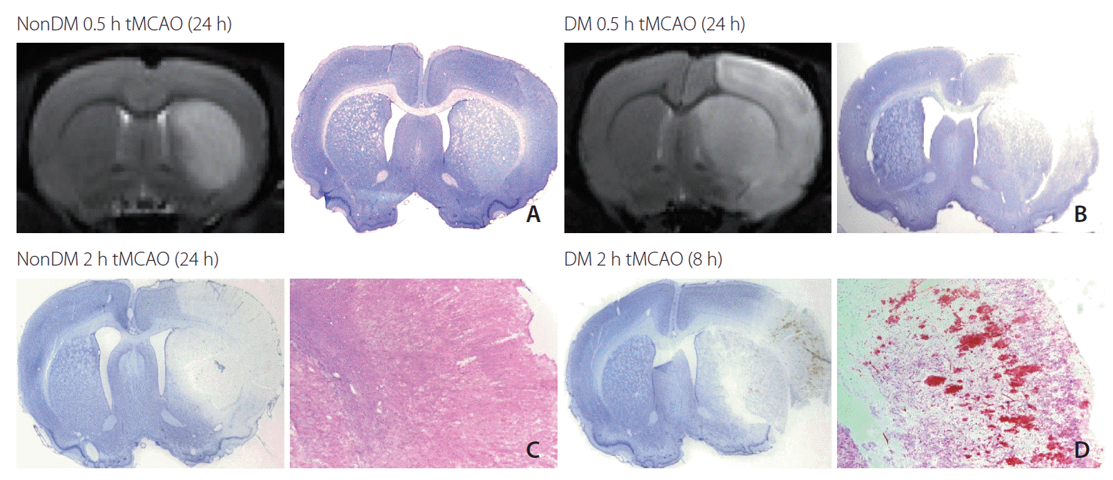 neuroint-2020-00339f1.tif