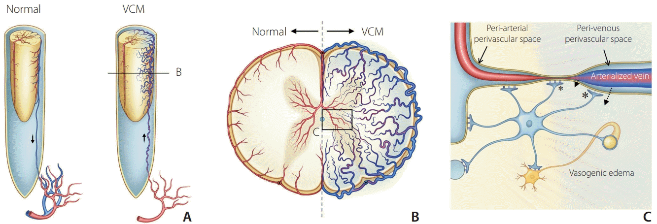 neuroint-2022-00129f3.tif