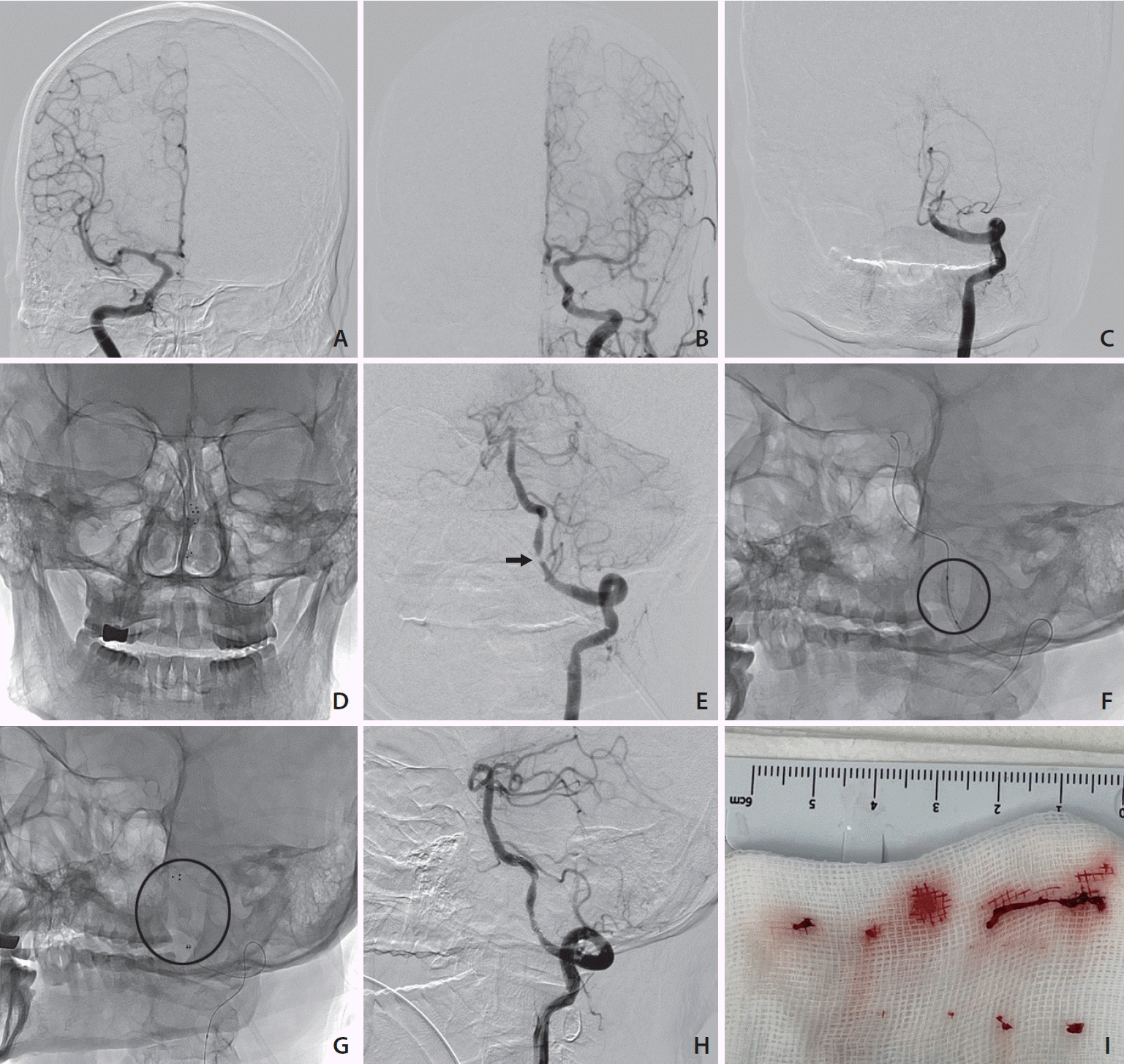 neuroint-2023-00381f3.tif