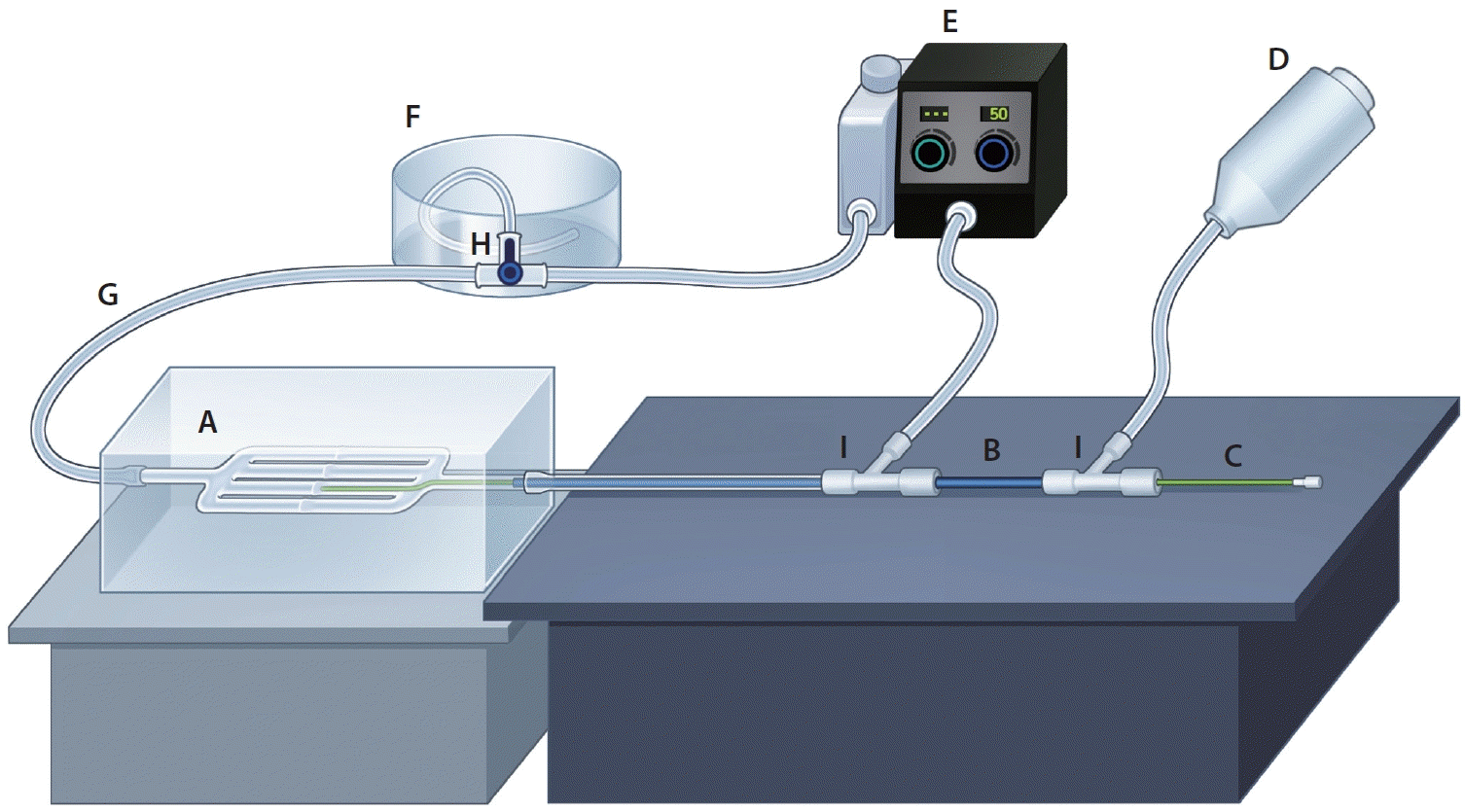 neuroint-2024-00031f2.tif