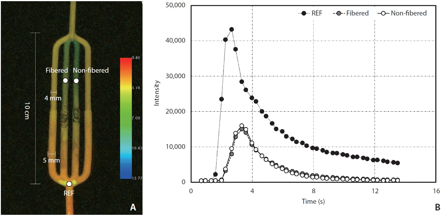 neuroint-2024-00031f3.tif