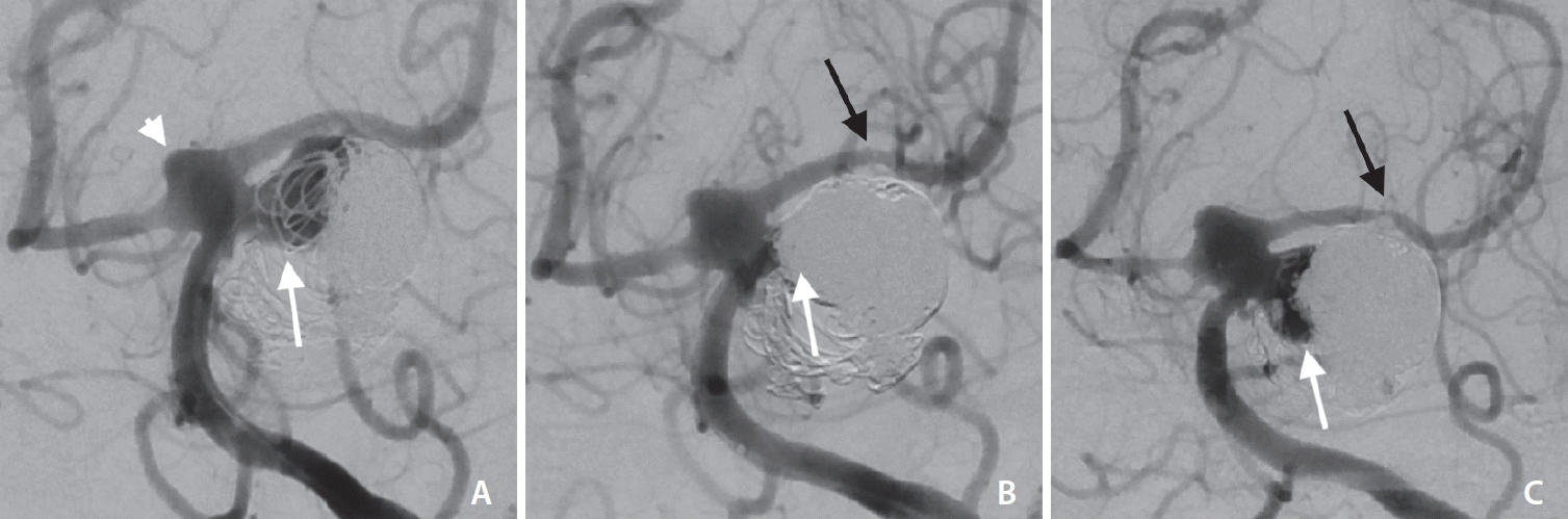 neuroint-2024-00066f2.tif