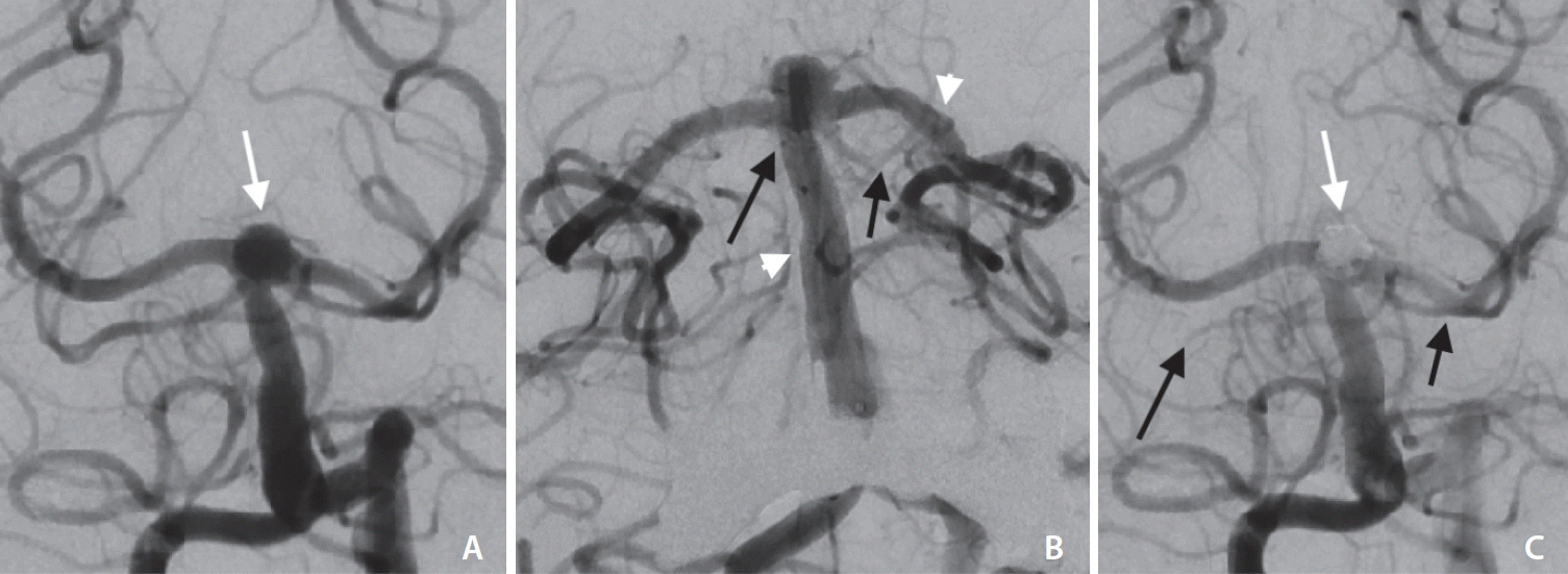 neuroint-2024-00066f3.tif