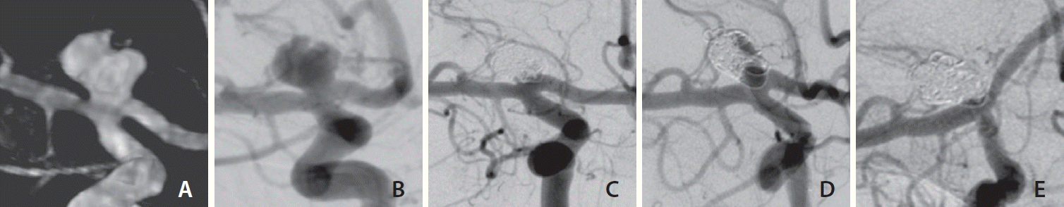 neuroint-2024-00108f3.tif