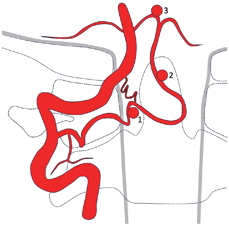 neuroint-2024-00136f2.tif