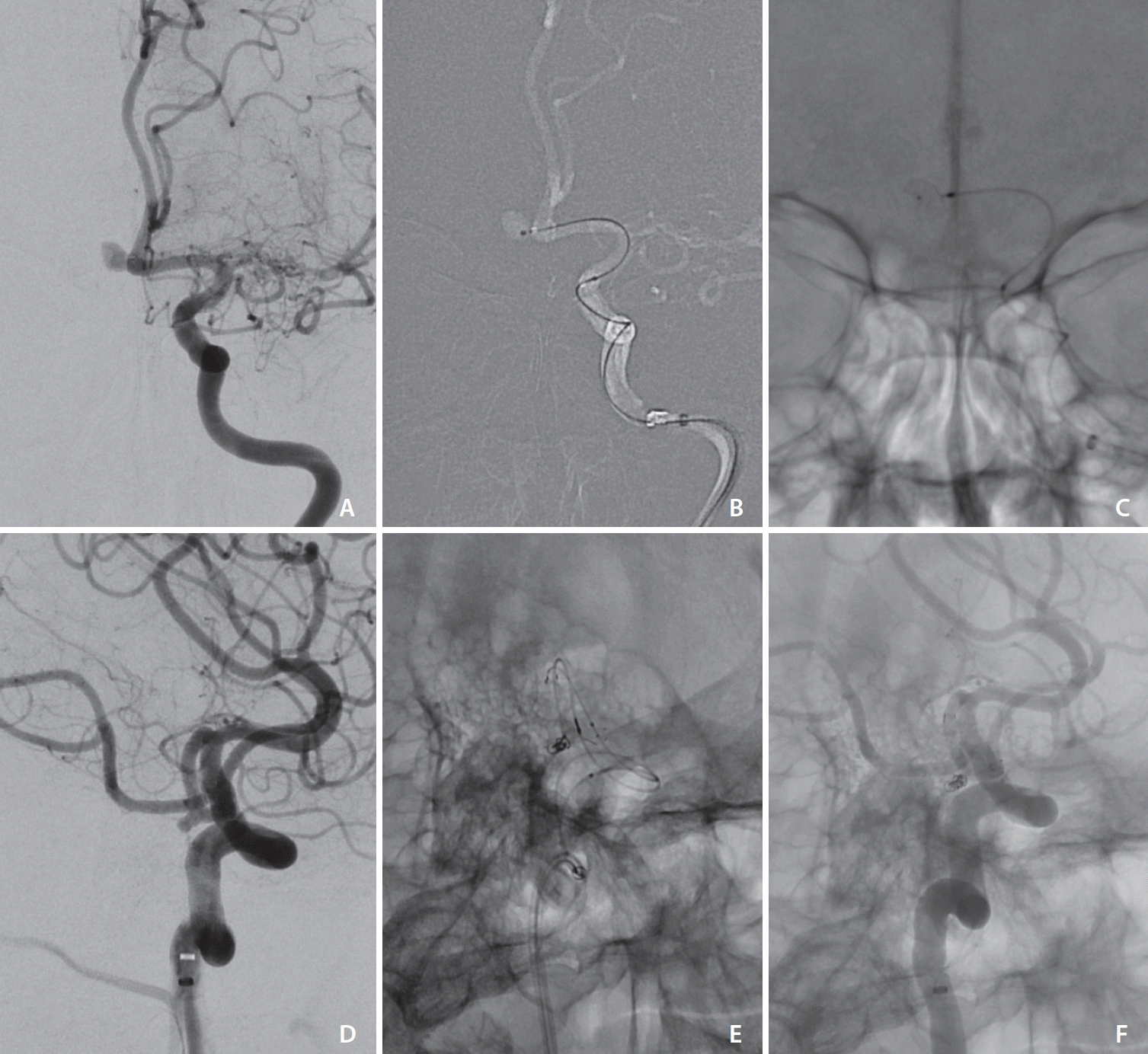 neuroint-2024-00143f1.tif