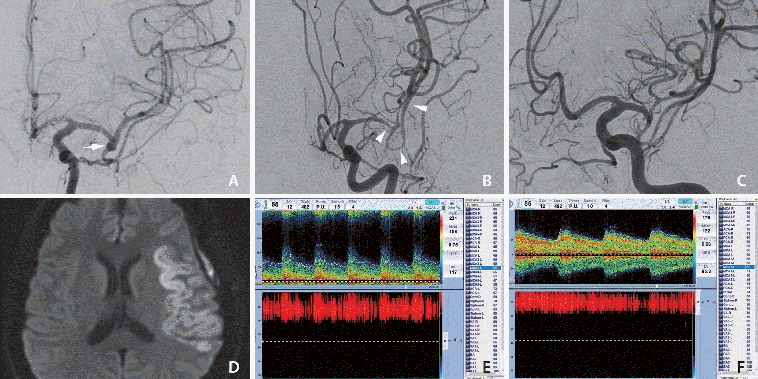 neuroint-2024-00150f1.tif