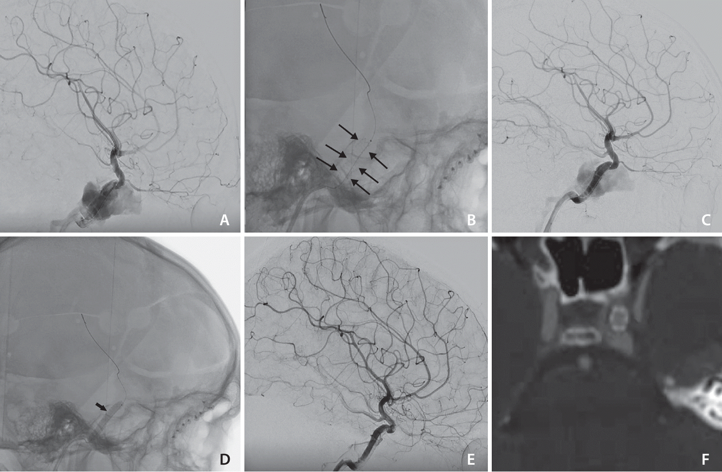 neuroint-2024-00157f1.tif