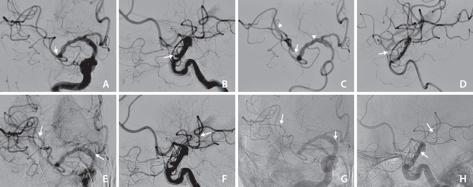 neuroint-2024-00409f2.tif