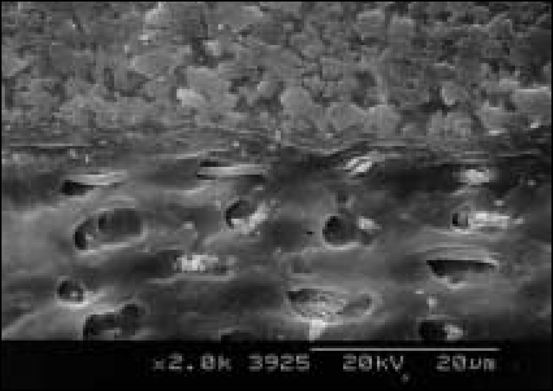 jkacd-29-1f5a.tif
