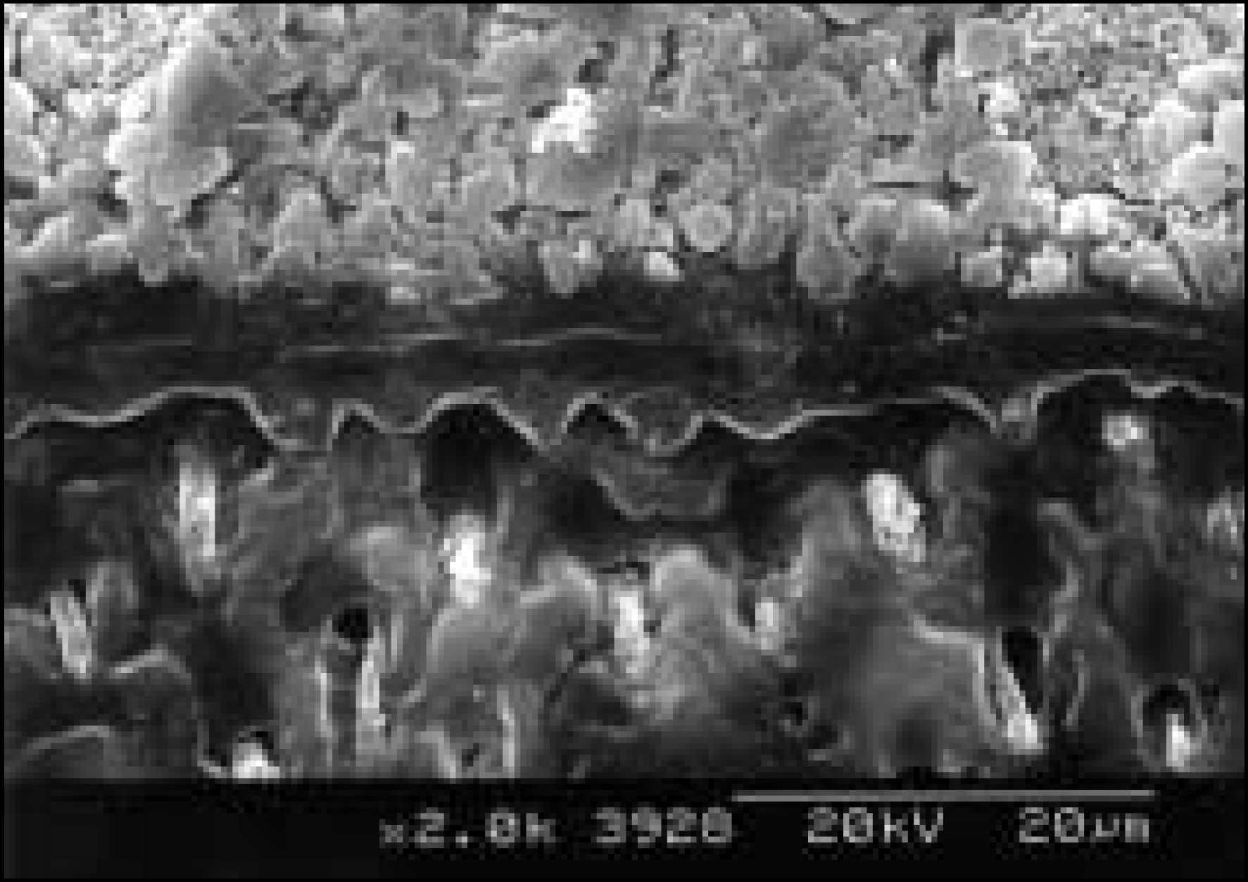 jkacd-29-1f5b.tif