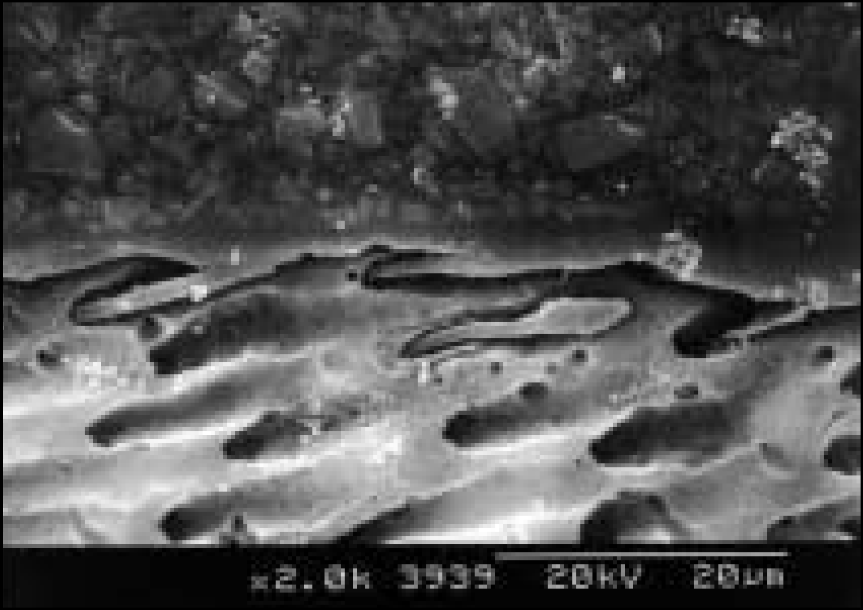 jkacd-29-1f8a.tif