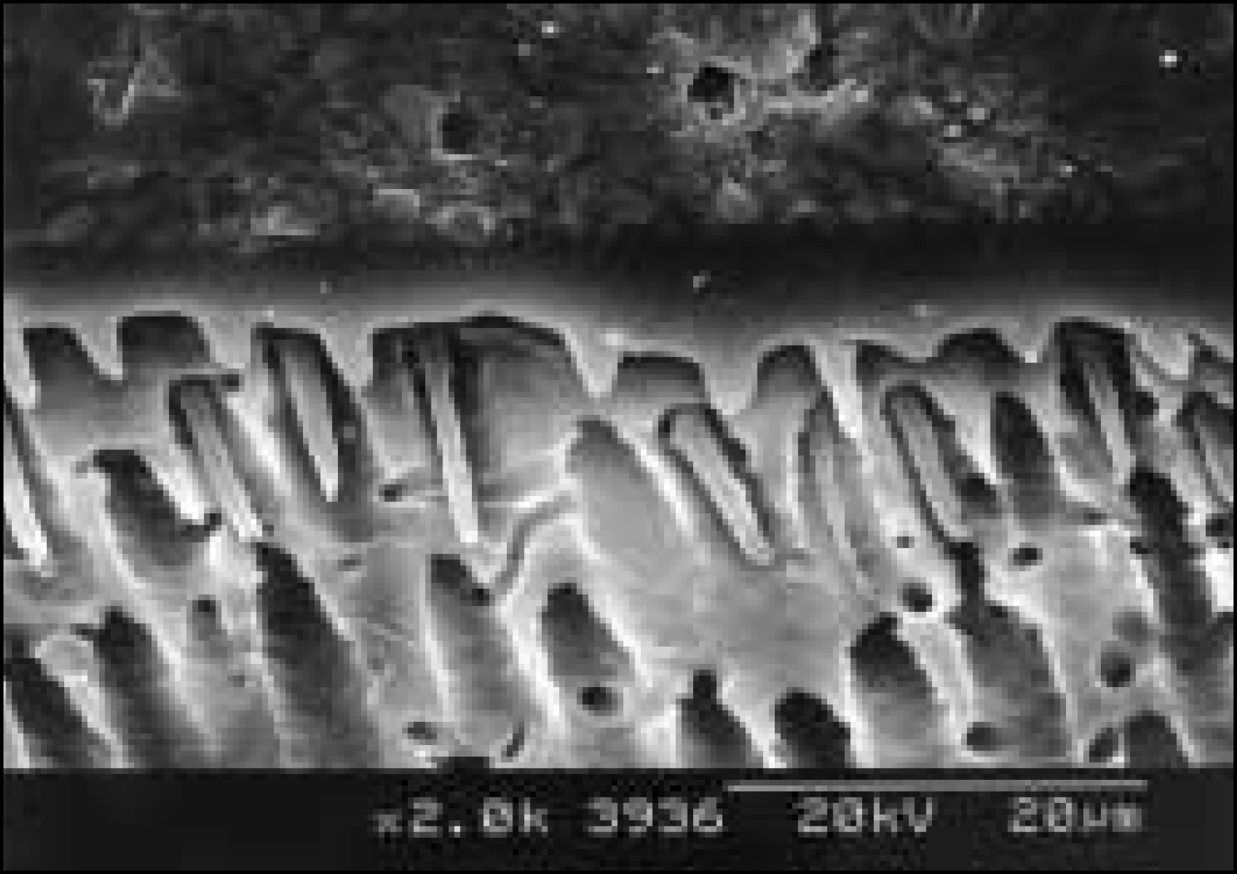 jkacd-29-1f8b.tif