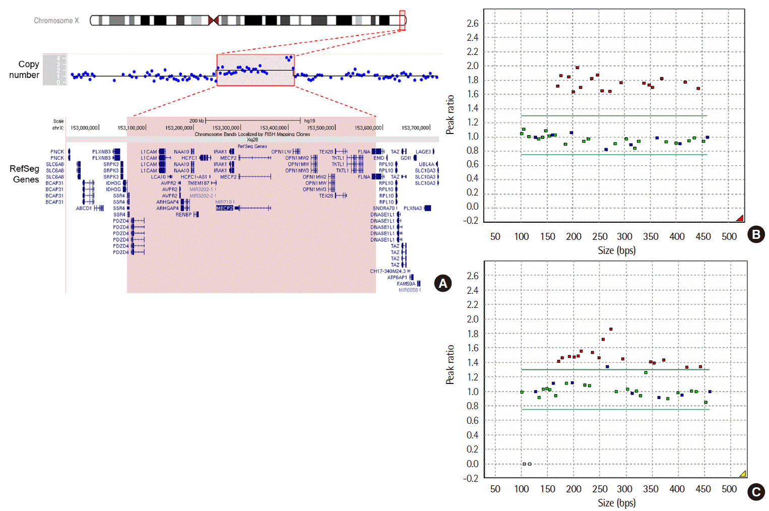 LMO-10-165-f1.tif