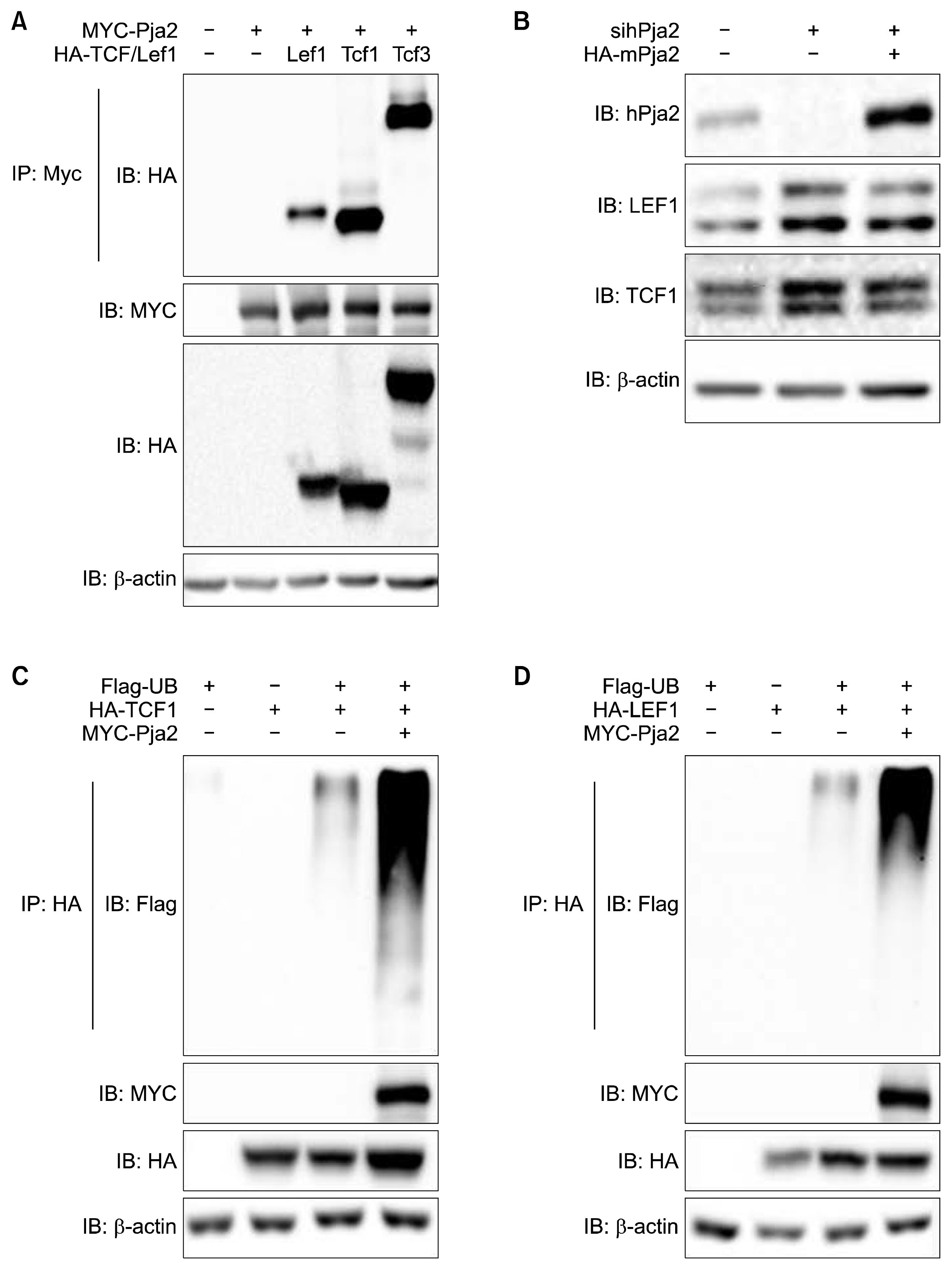 ijsc-11-242f4.tif