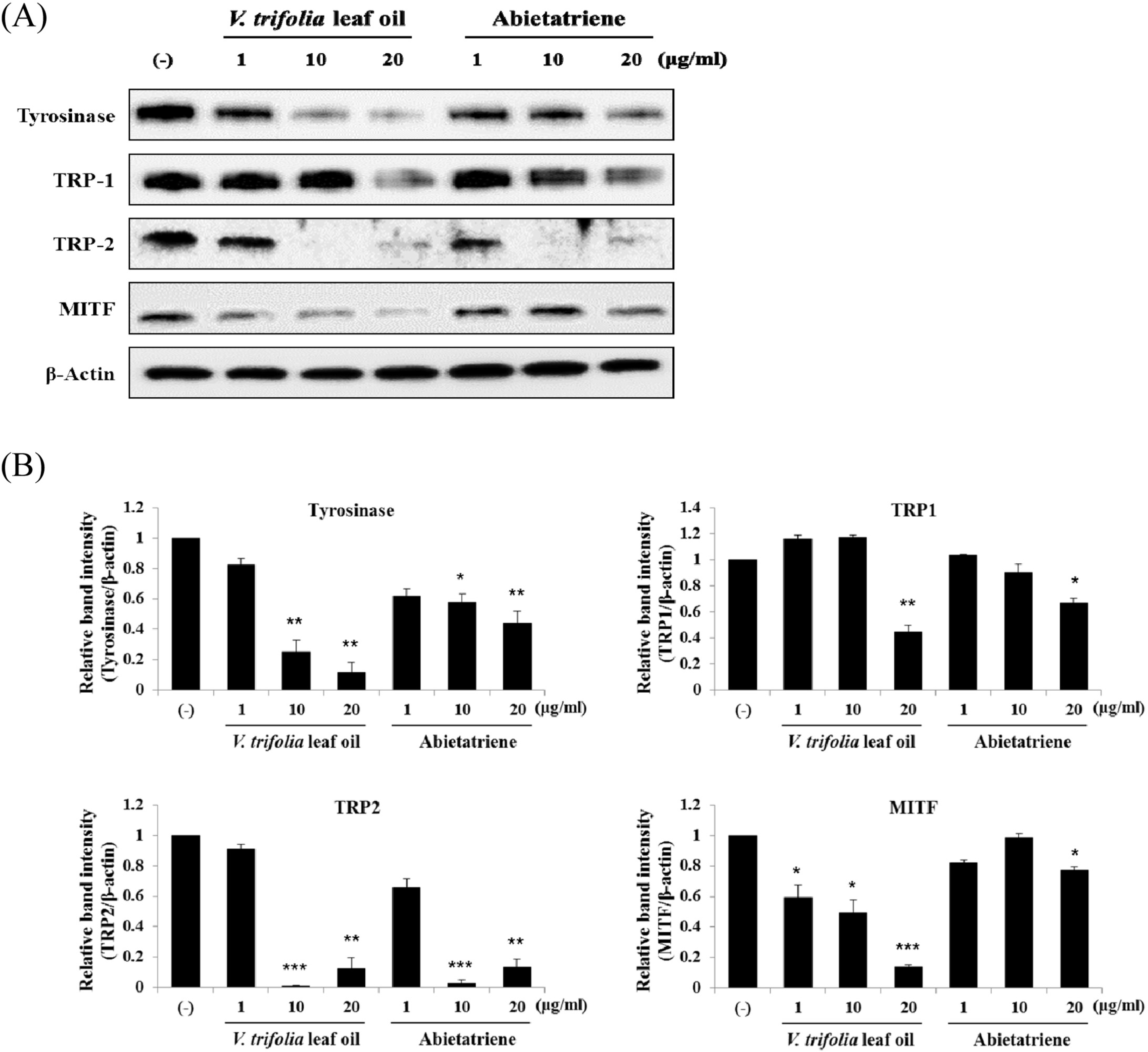 nps-22-252f5.tif